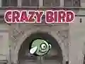 Oyunu Çılgın Kuş çevrimiçi