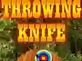 Oyunu Fırlatma bıçağı çevrimiçi