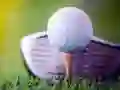 Oyunu Açık Golf Meydan Okuması çevrimiçi