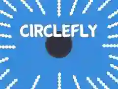 Oyunu Daire Uçuşu çevrimiçi