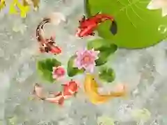 Oyunu Koi Balığı Havuzu çevrimiçi Oyunu Koi Balığı Havuzu çevrimiçi