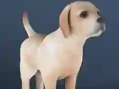Oyunu Tembel Evcil Hayvan çevrimiçi Oyunu Tembel Evcil Hayvan çevrimiçi