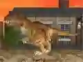 Oyunu LA Rex çevrimiçi