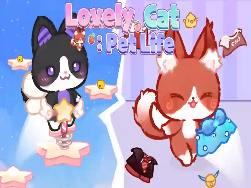 Oyunu Güzel kedi evcil hayvan hayatı çevrimiçi
