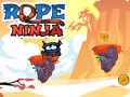 Oyunu Ip Ninja çevrimiçi