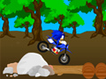 Oyunu Cross Sonic Yarışı çevrimiçi
