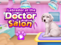 Oyunu Labrador veteriner kliniğinde çevrimiçi