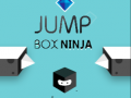 Oyunu Zıplayan Kutu Ninja çevrimiçi