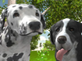 Oyunu Köpek Simülatörü 3D çevrimiçi