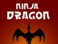 Oyunu Ninja Ejderha çevrimiçi