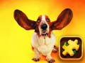 Oyunu Komik Köpek Bulmacası çevrimiçi