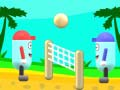Oyunu Plaj Voleybolu çevrimiçi