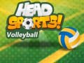 Oyunu Head Sports Voleybol çevrimiçi