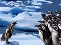 Oyunu Penguenler Kayıyor çevrimiçi