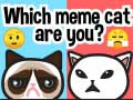 Oyunu Hangi Meme Kedisisin? çevrimiçi