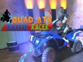 Oyunu Dörtlü ATV Trafik Yarışçısı çevrimiçi