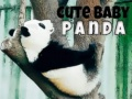 Oyunu Tatlı Bebek Panda çevrimiçi
