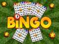 Oyunu Bingo Açıkladı çevrimiçi