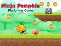 Oyunu Ninja Kabak Platform Oyunu çevrimiçi