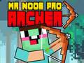 Oyunu Bay Noob Pro Okçusu çevrimiçi