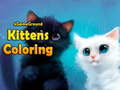 Oyunu 4GameGround Yavru Kedi Boyama çevrimiçi