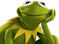 Oyunu Kermit Kurbağa için Boyama Kitabı çevrimiçi