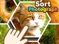 Oyunu Fotoğraf Sırala çevrimiçi